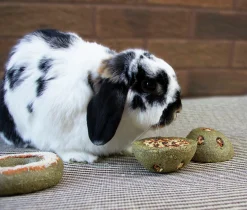 Gnagarleksak Rosewood Treat 'n' Gnaw Bunny Buns 8cm 2-p