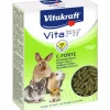 Gnagartillskott Vitakraft Vitafit C Forte 100g