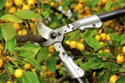 Grensax Felco 210-A60 60cm