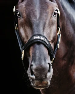 Grimma Back on Track Werano Svart