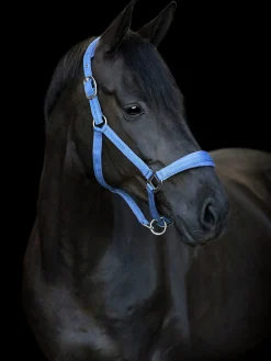 Grimma Horseguard Diya Blå