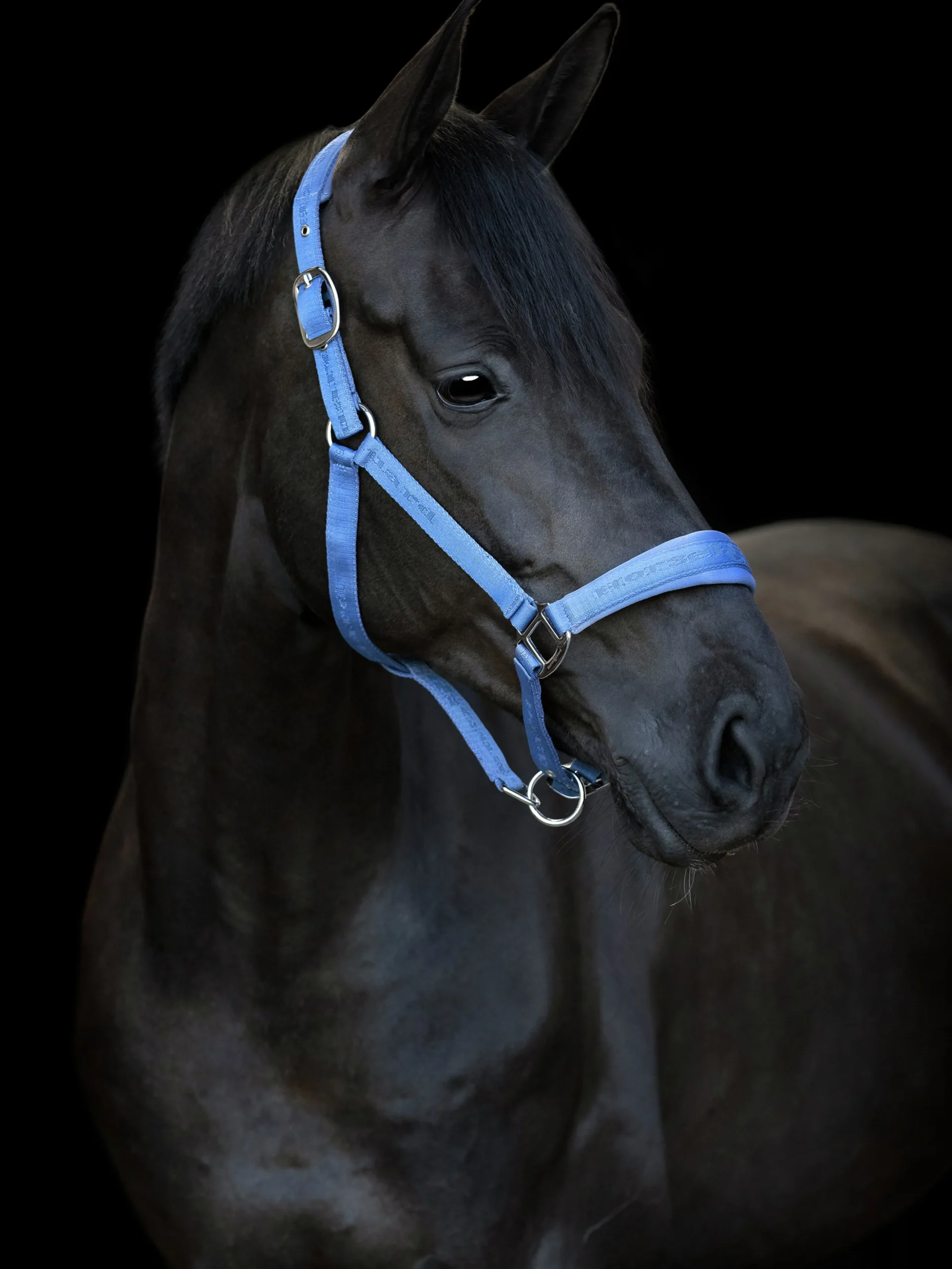 Grimma Horseguard Diya Blå