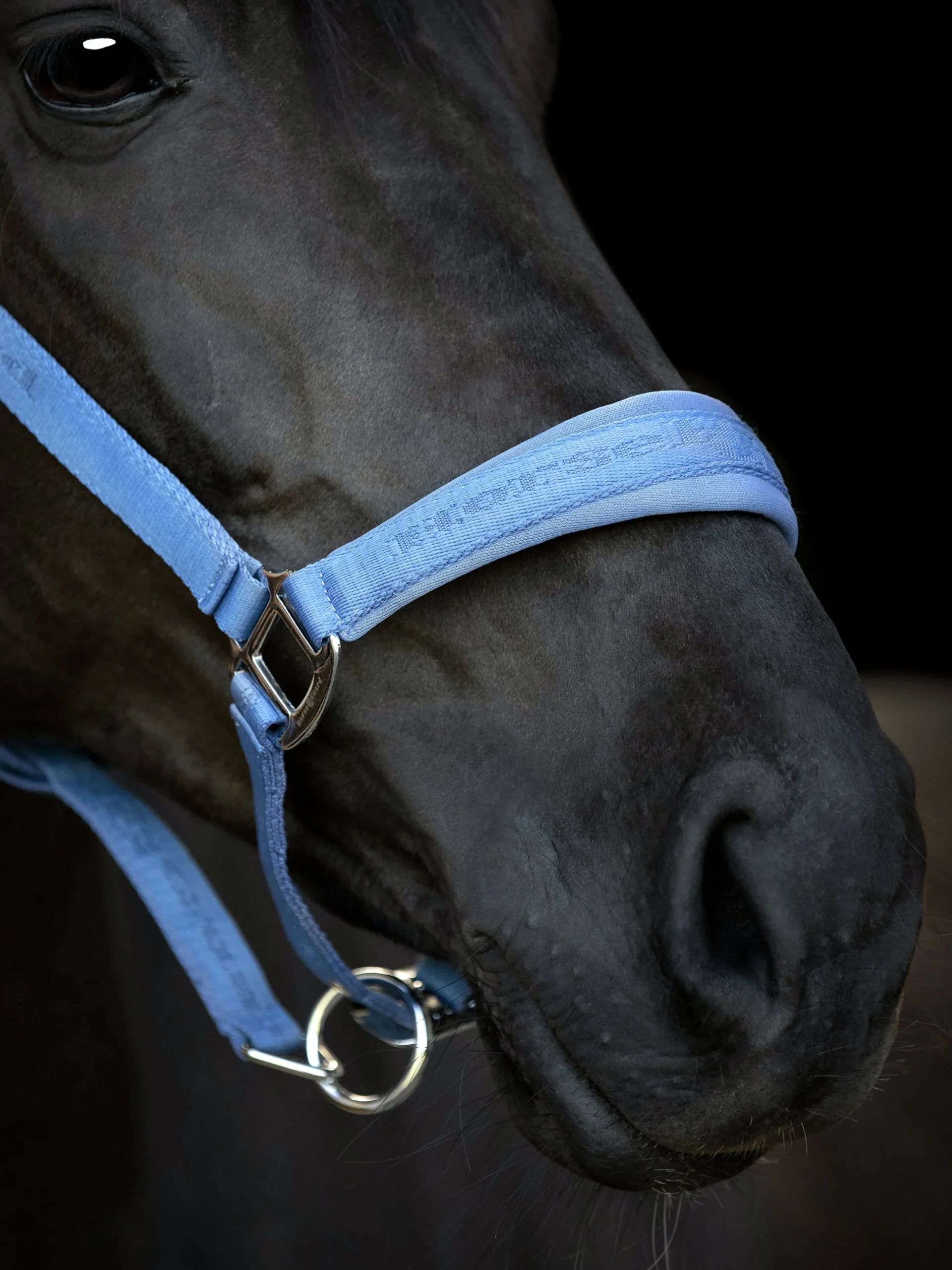 Grimma Horseguard Diya Blå