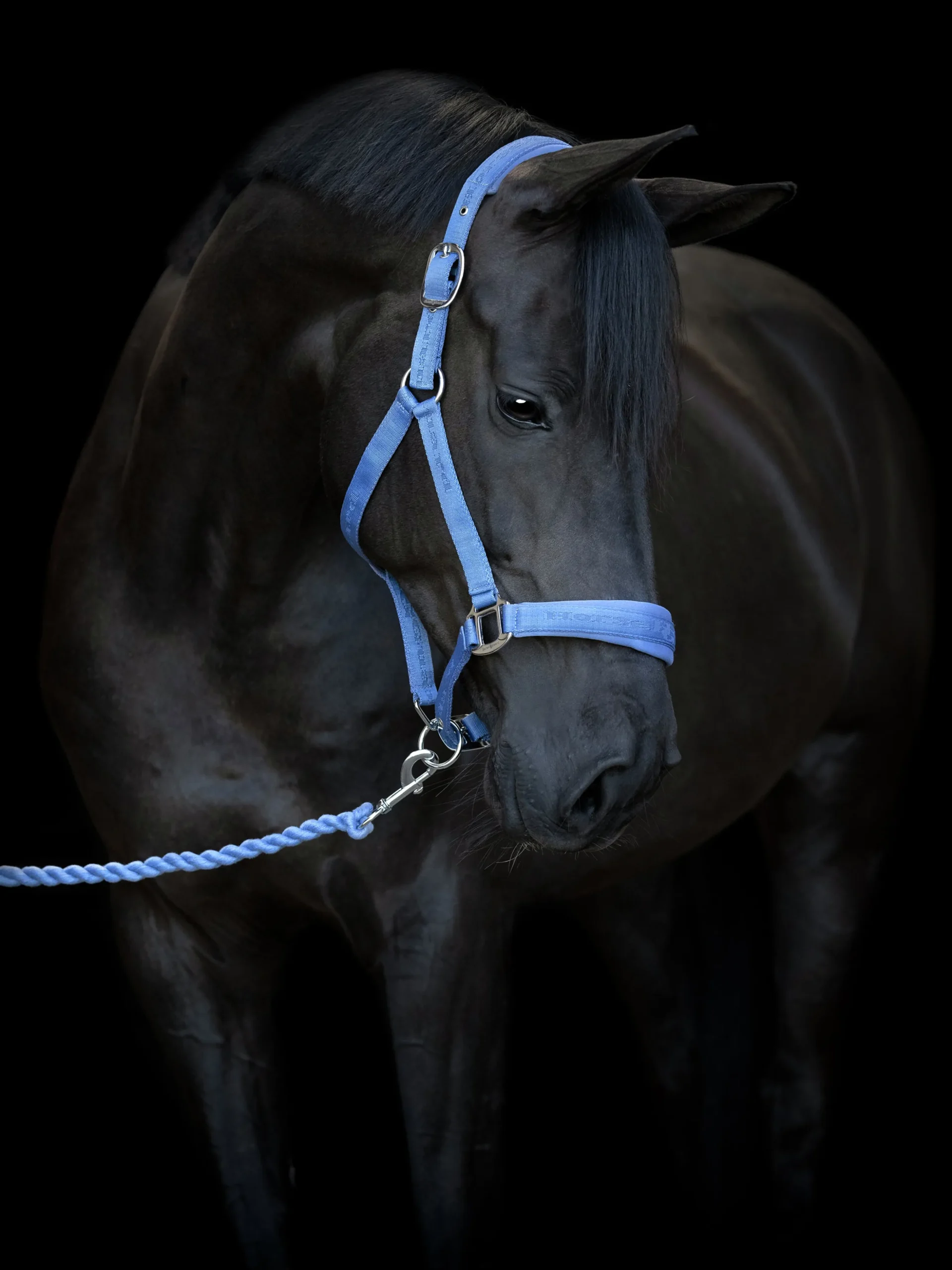 Grimma Horseguard Diya Blå