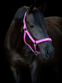 Grimma Horseguard Malva Pretty Girl