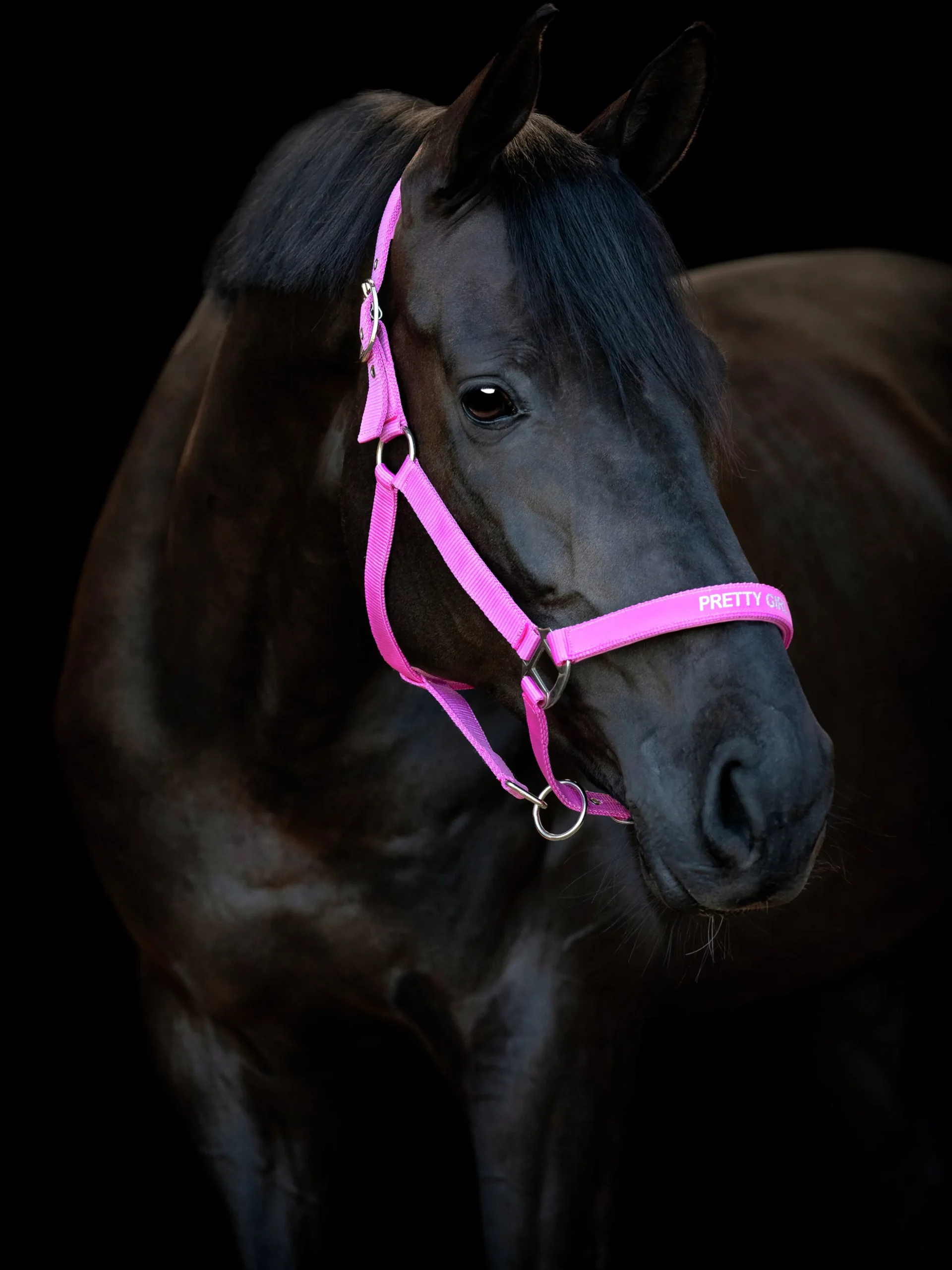 Grimma Horseguard Malva Pretty Girl