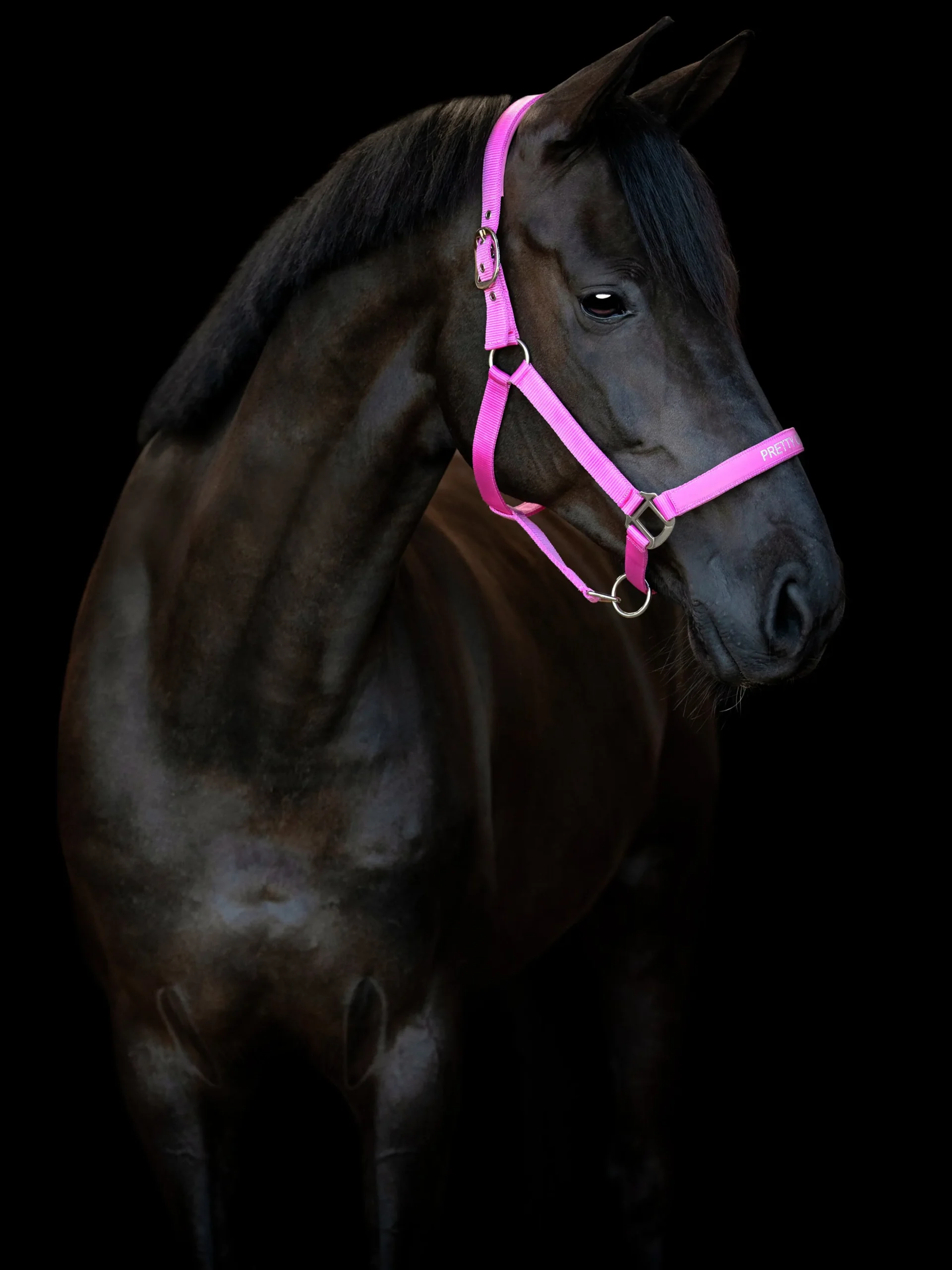 Grimma Horseguard Malva Pretty Girl