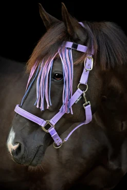 Grimma Horseguard Malva Pretty Girl Lavendel