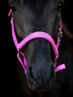 Grimma Horseguard Malva Pretty Girl