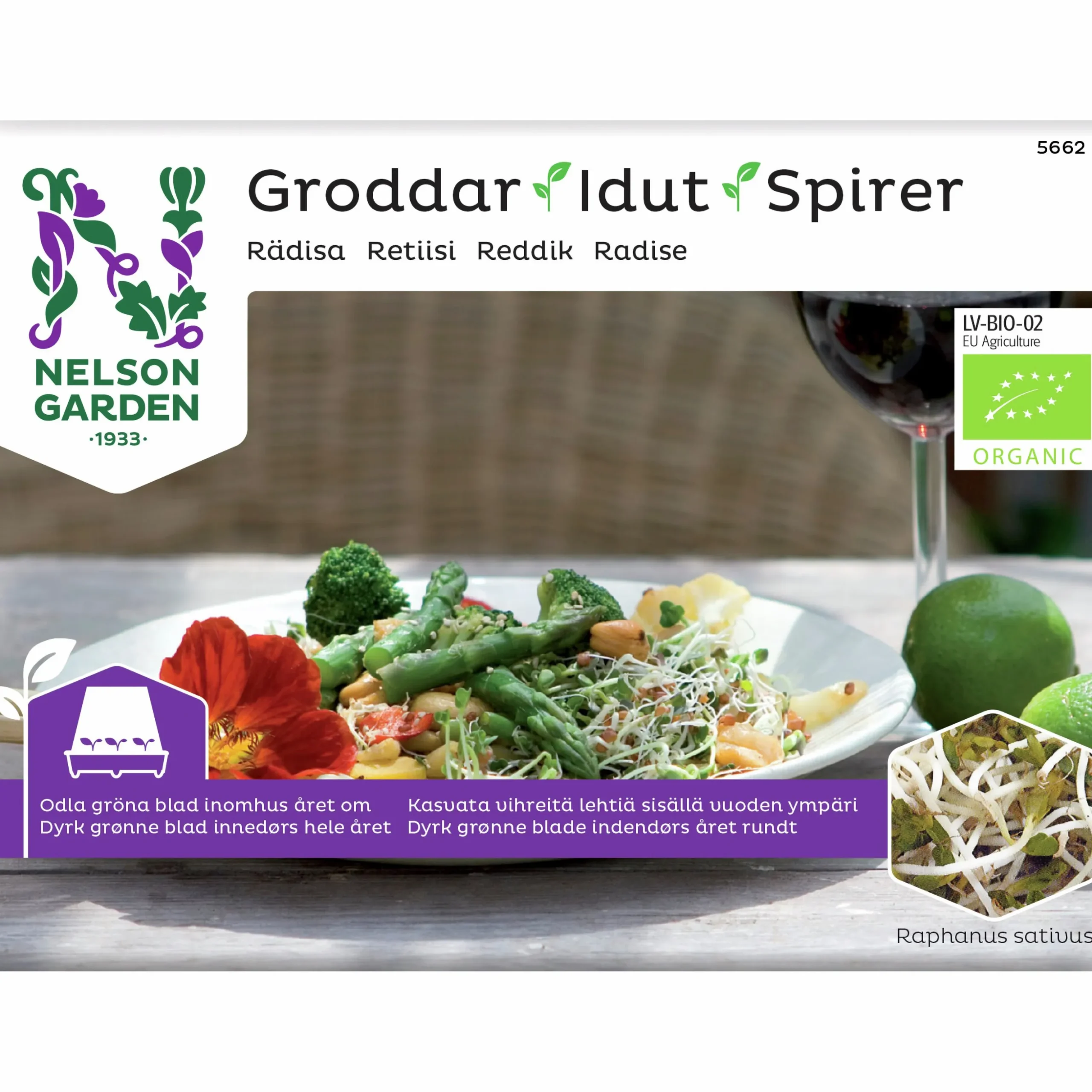 Groddar Nelson Garden Rädisa Organic