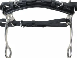 Hackamore Hansbo Sport Kort Skänkel Full