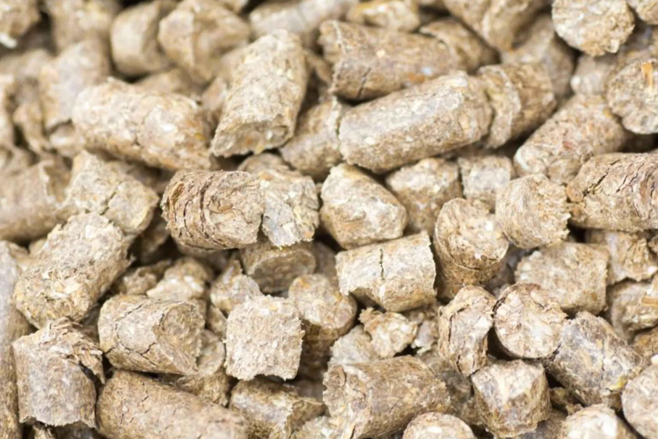 Halmpellets YesBox Easy-bedding 13kg