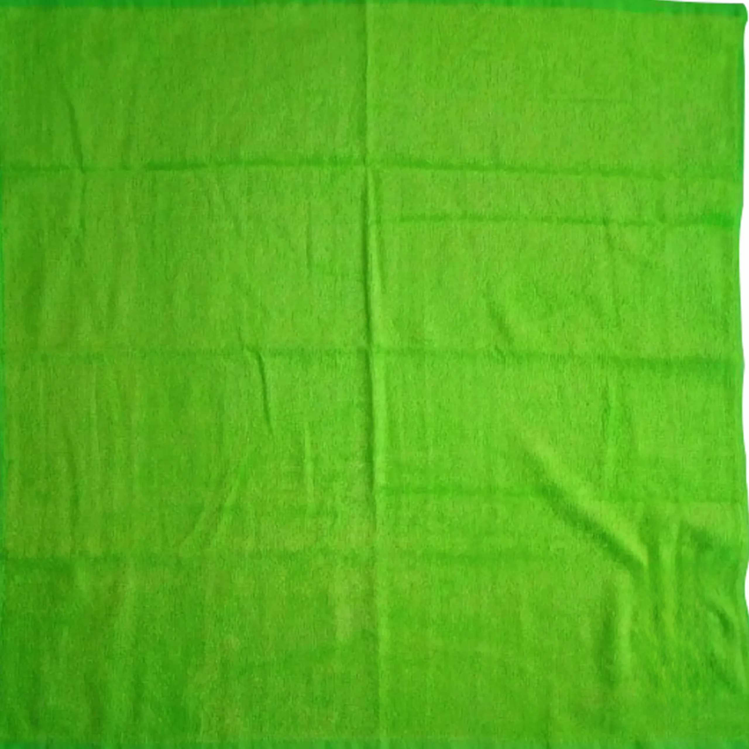 Handduk Hund Wahl Bambu Grön 61x61cm
