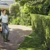 Häcksax STIHL HSA 50 36V