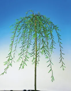Hängvide ca 100-120cm