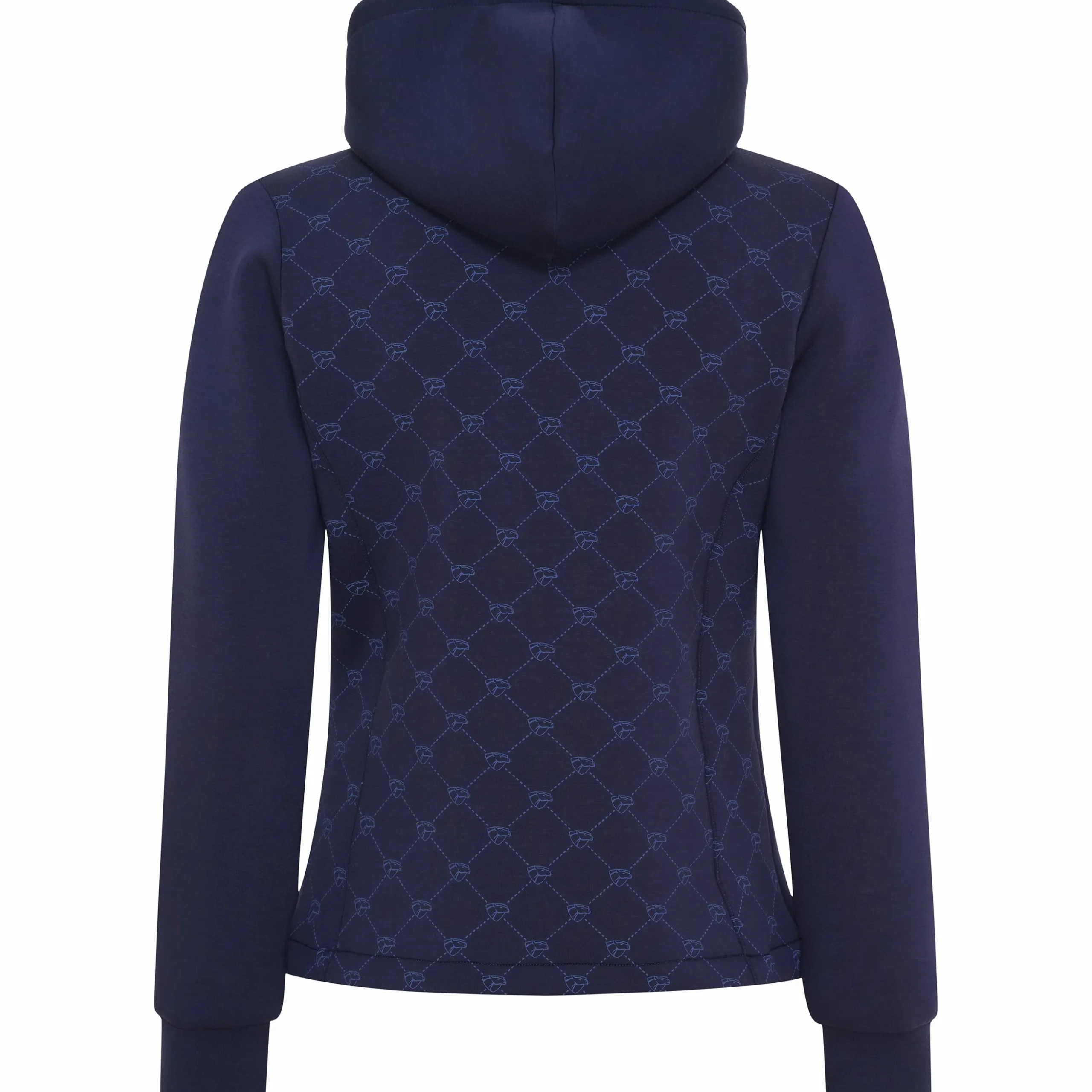 Hoodie Catago Variana Grå