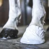 Hov- och Veterinärtejp Outdoor tapes Vit 18m