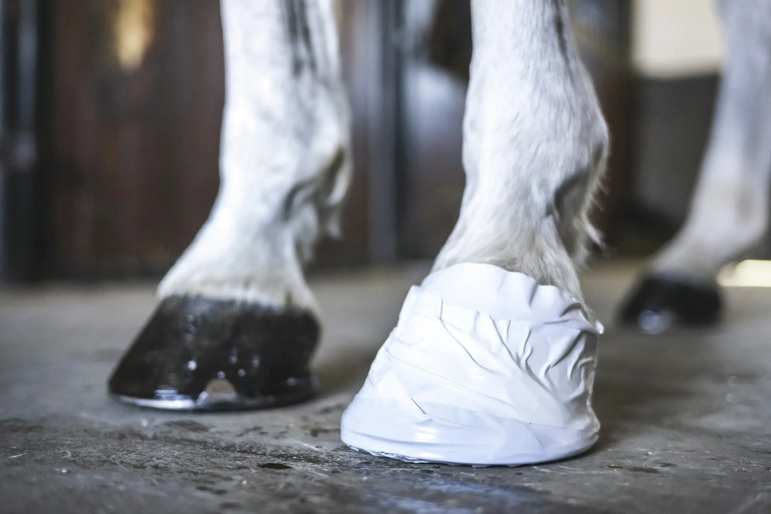 Hov- och Veterinärtejp Outdoor tapes Vit 18m