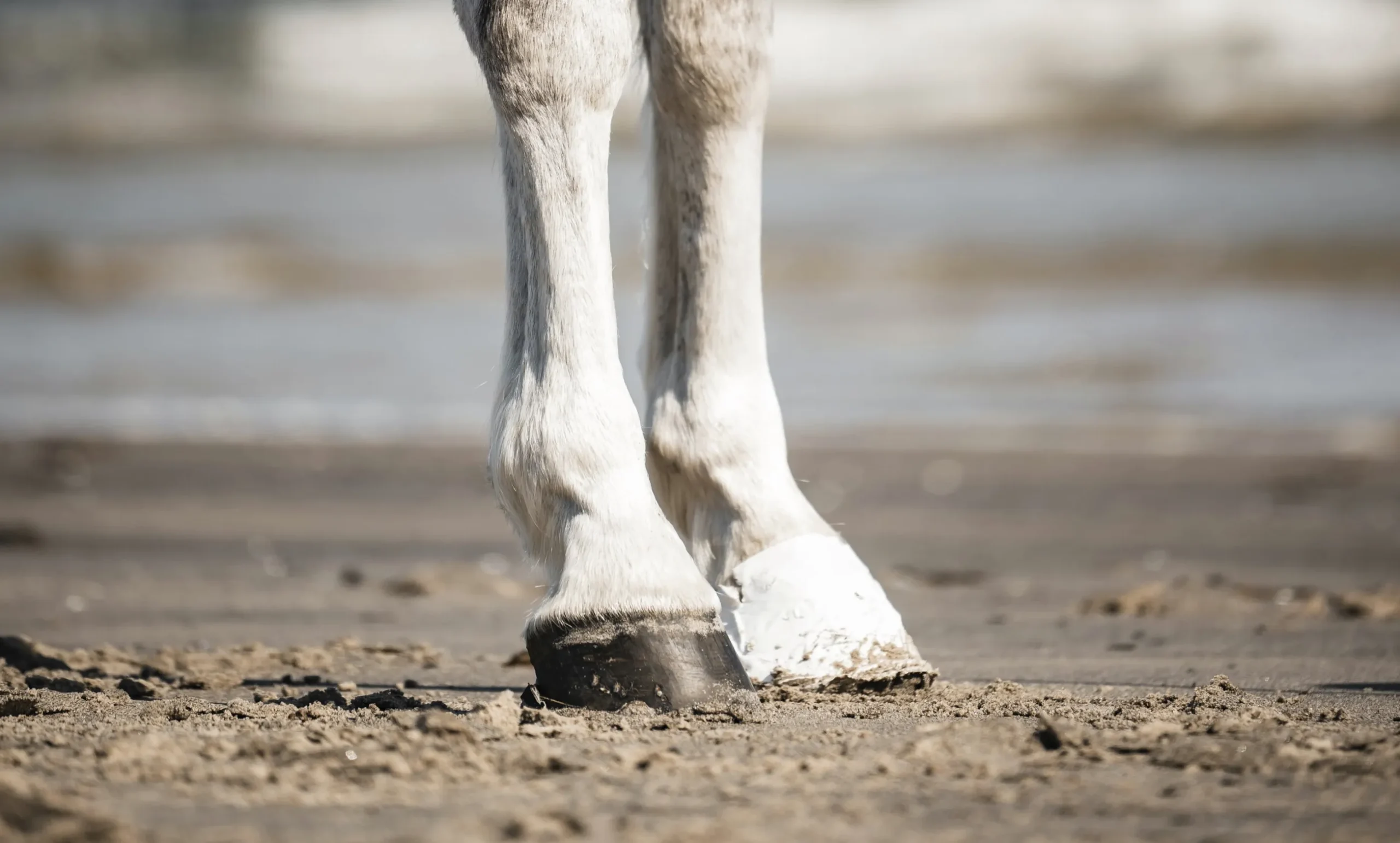 Hov- och Veterinärtejp Outdoor tapes Vit 18m