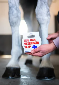 Hov- och Veterinärtejp Outdoor tapes Vit 18m