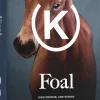 Hästfoder Krafft Foal 20kg