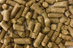 Hästgodis Granngården Morot 2kg