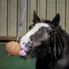 Hästgodis Likit Stallboll Granolo Äpple 1,5kg