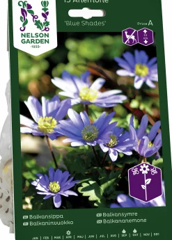 Höstlök Nelson Garden Balkansippa Blue Shades