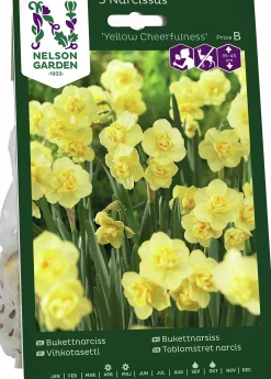 Höstlök Nelson Garden Bukettnarciss Yellow Cheerfulness
