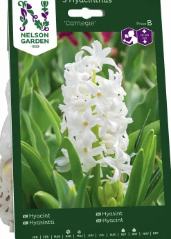 Höstlök Nelson Garden Hyacint Carnegie