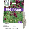 Höstlök Nelson Garden Klotlök Violett Big Pack