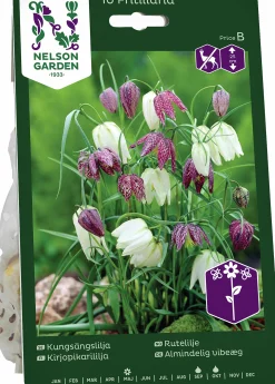 Höstlök Nelson Garden Kungsängslilja Mix