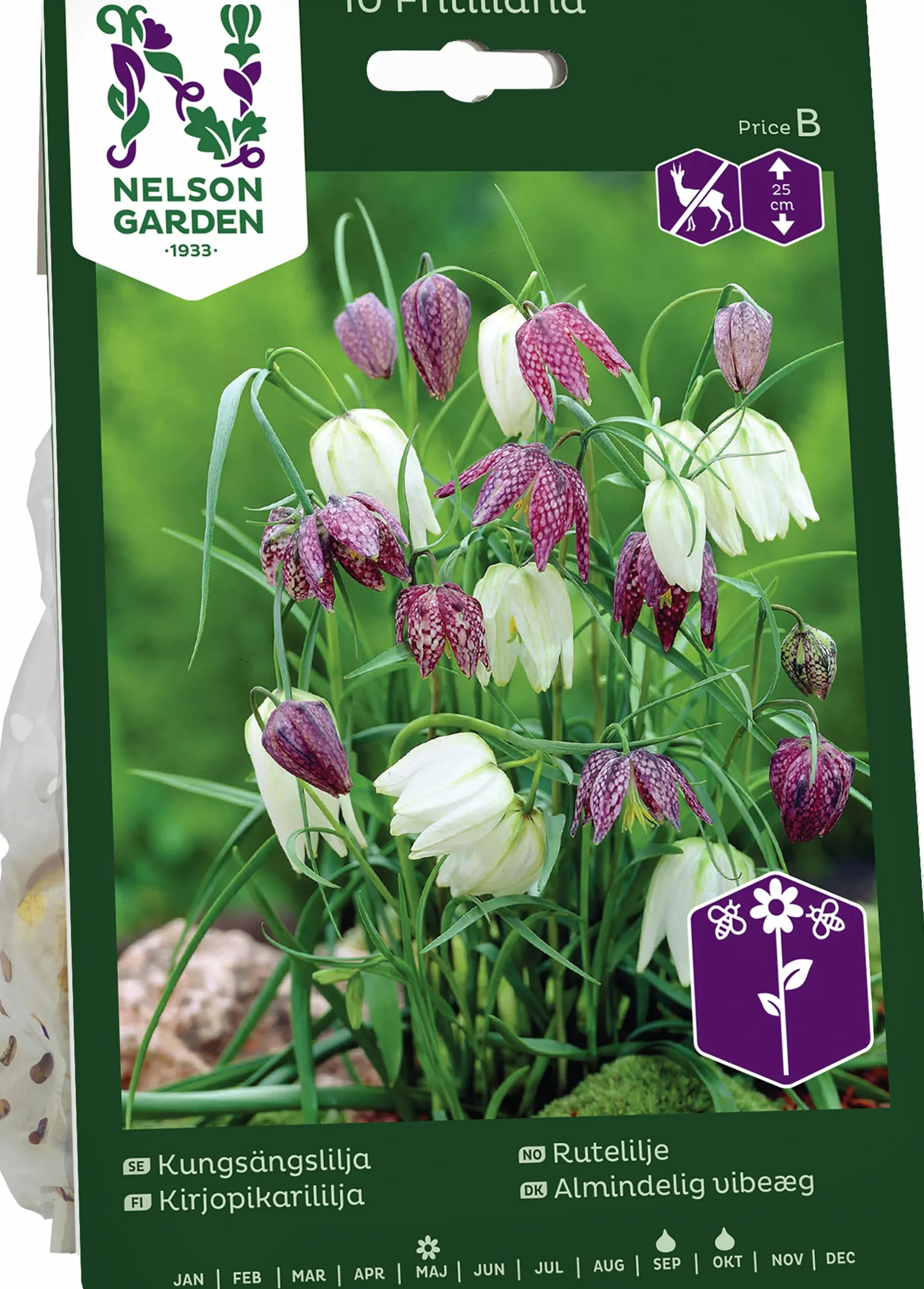 Höstlök Nelson Garden Kungsängslilja Mix