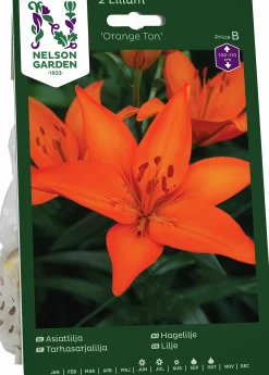 Höstlök Nelson Garden Lilja Asiatisk Orange