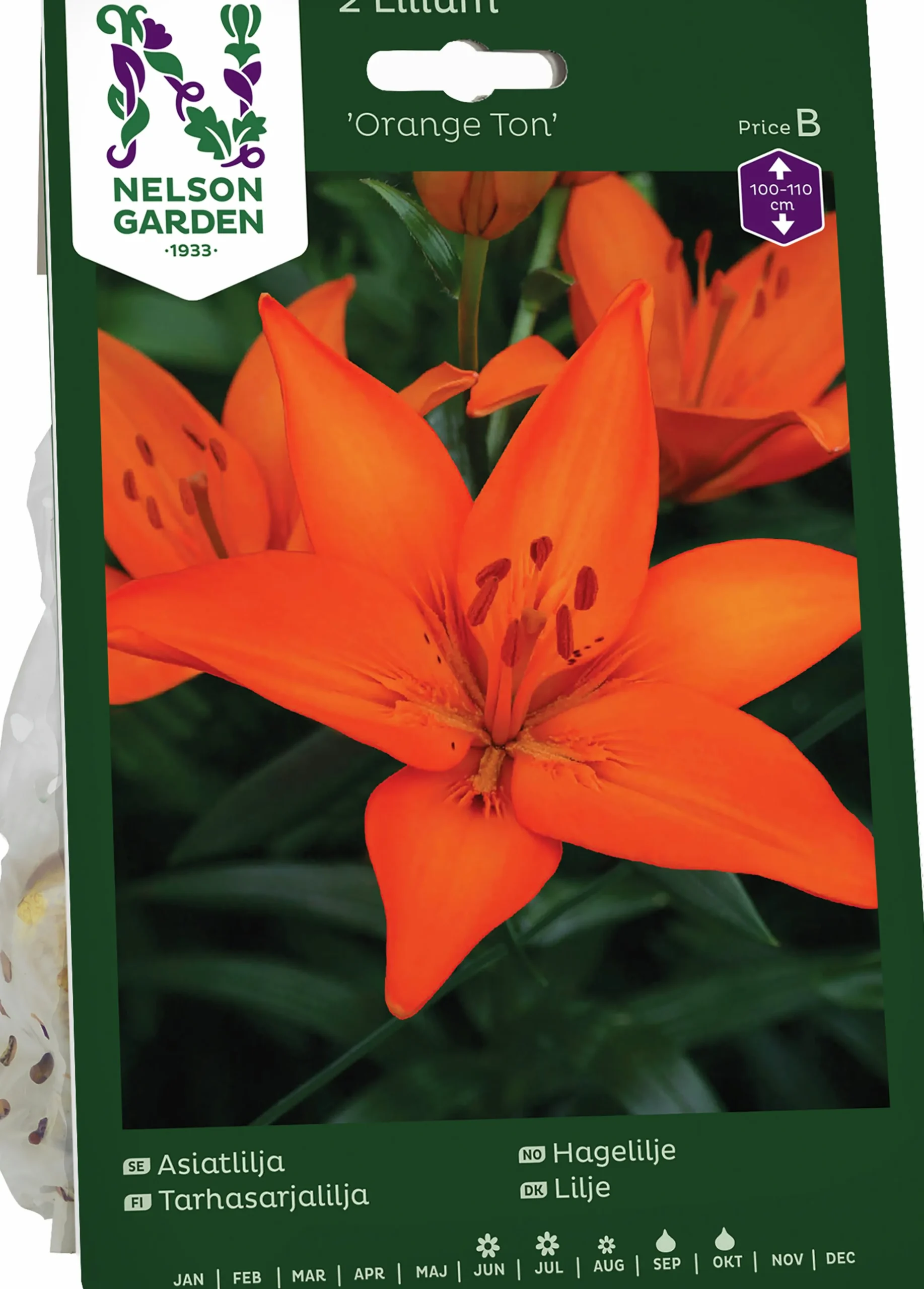 Höstlök Nelson Garden Lilja Asiatisk Orange