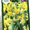 Höstlök Nelson Garden Narcisser Mix