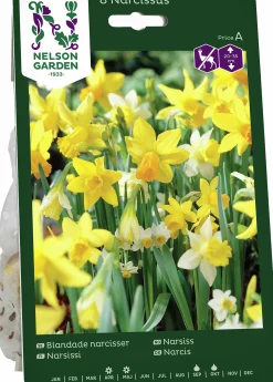 Höstlök Nelson Garden Narcisser Mix