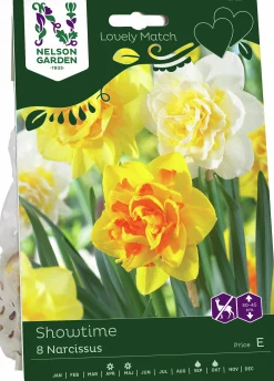 Höstlök Nelson Garden Narcissus Lovely Match Showtime