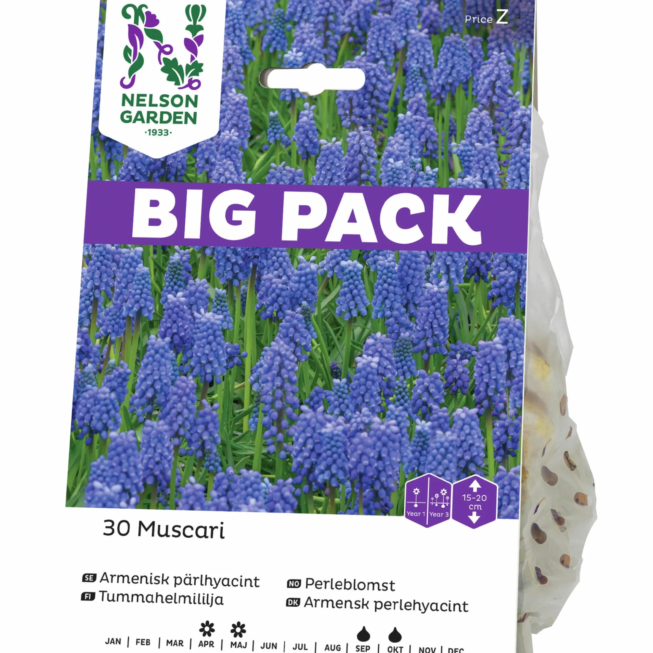 Höstlök Nelson Garden Pärlhyacint Armenisk Big Pack Blå