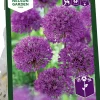 Höstlök Nelson Garden Purpurlök Purple Sensation