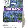 Höstlök Nelson Garden Rysk Blåstjärna Big Pack