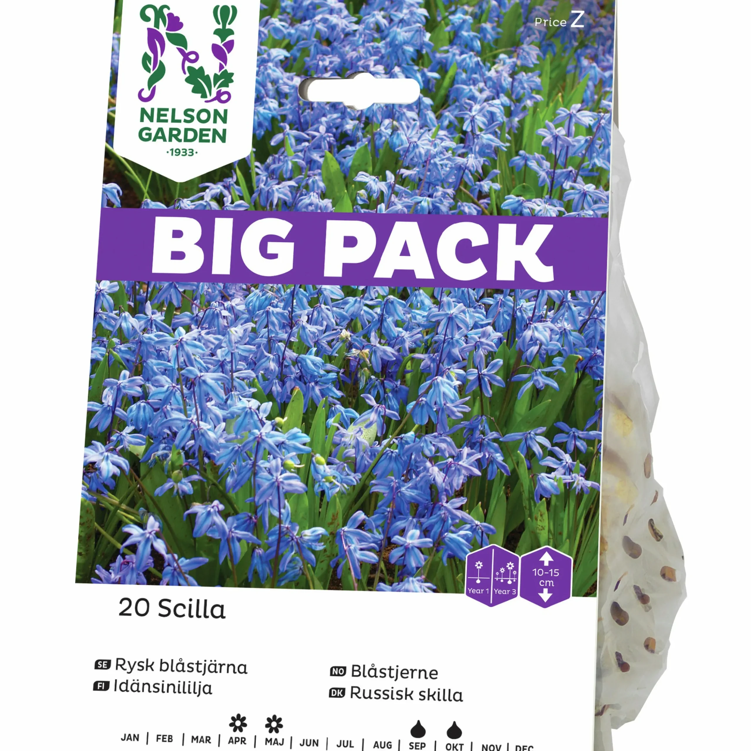 Höstlök Nelson Garden Rysk Blåstjärna Big Pack