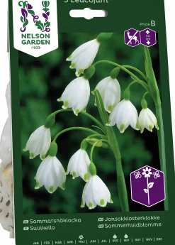 Höstlök Nelson Garden Sommarsnöklocka