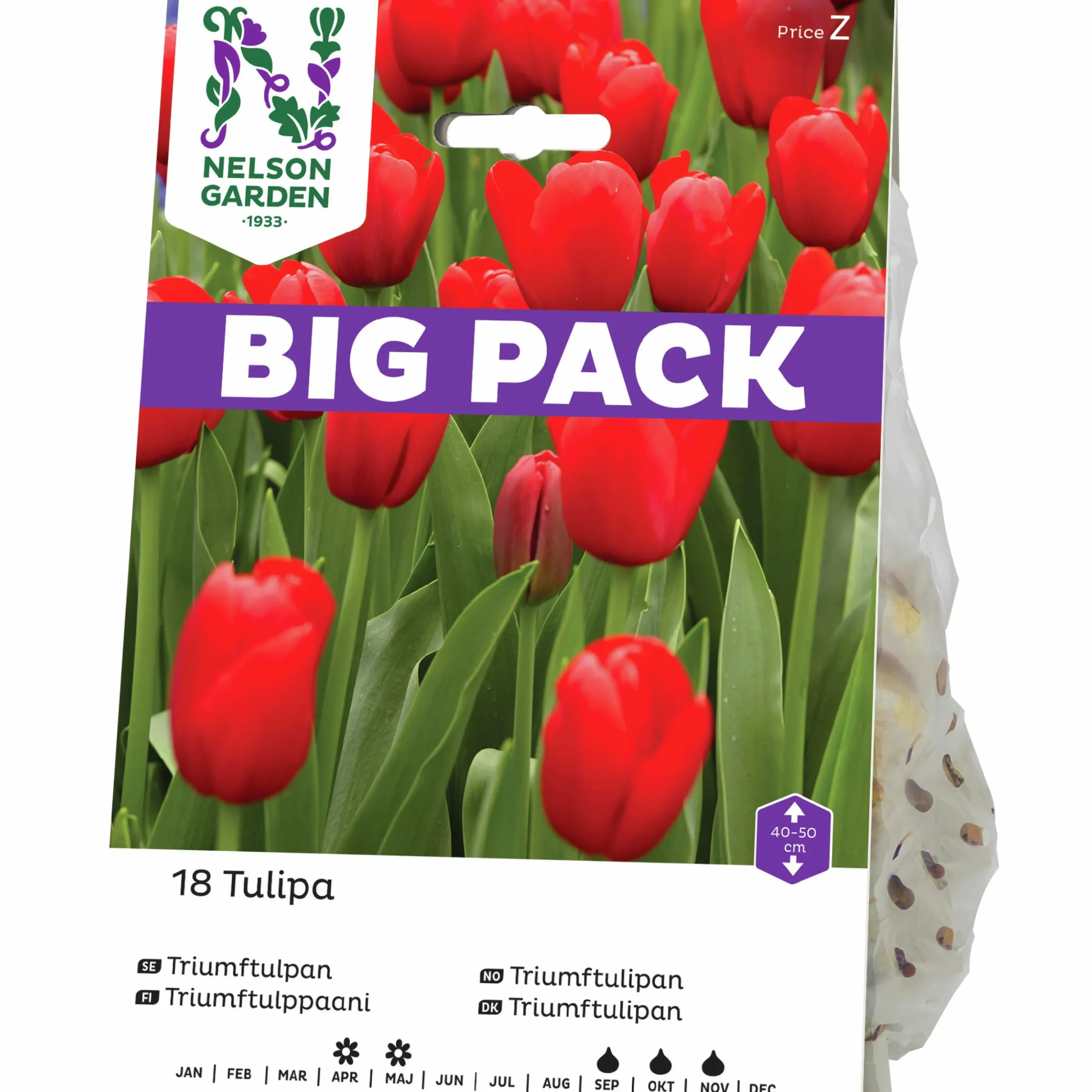 Höstlök Nelson Garden Triumftulpan Röd Big Pack