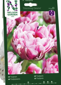 Höstlök Nelson Garden Tulpan Dazzling Desire Sen Fylld