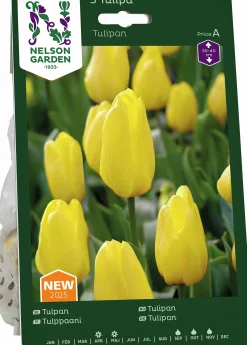 Höstlök Nelson Garden Tulpan Gul