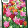 Höstlök Nelson Garden Tulpan Lilje Mix