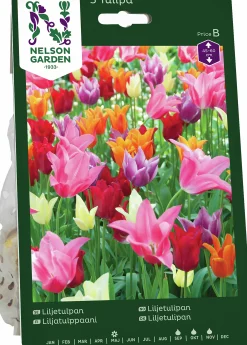 Höstlök Nelson Garden Tulpan Lilje Mix