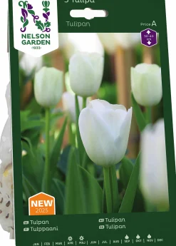 Höstlök Nelson Garden Tulpan Vit