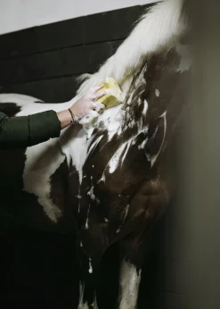 Hästschampo Fair Horse Care 1L